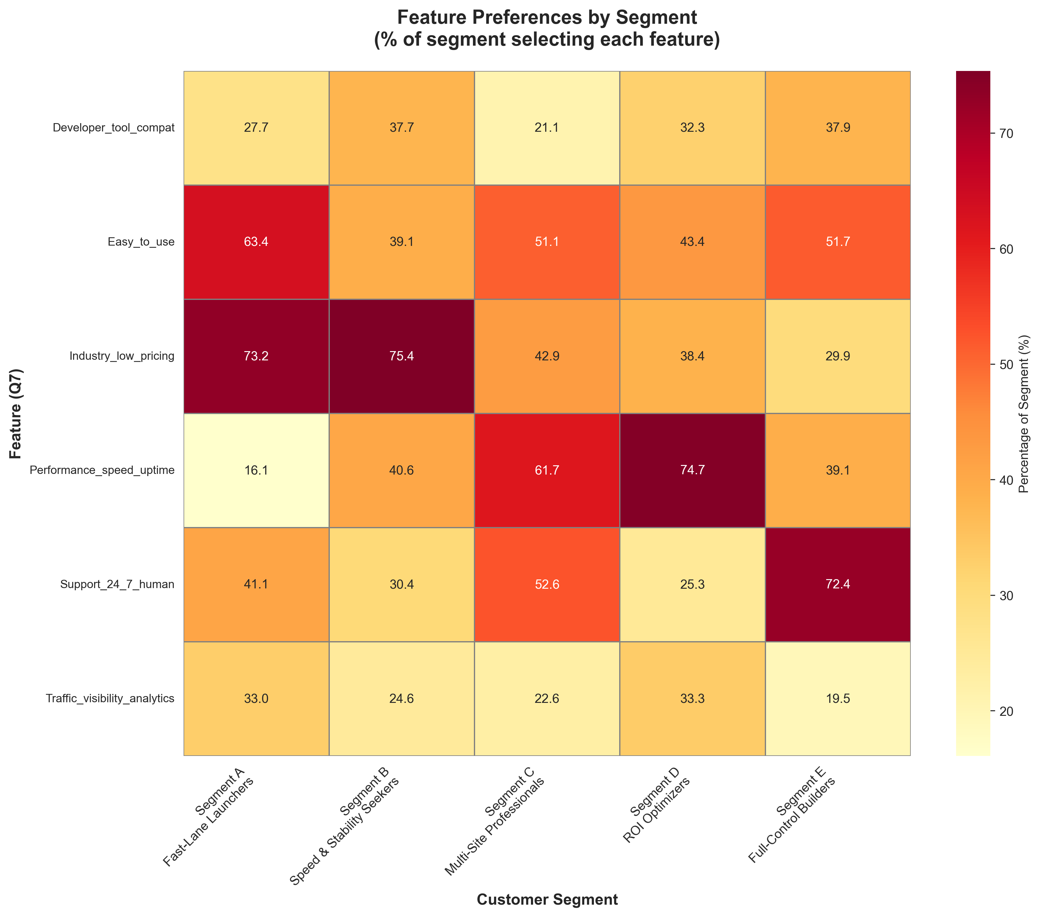 Segment Feature Preferences Heatmap